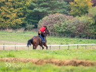 AK021025-43 - Believitanducan